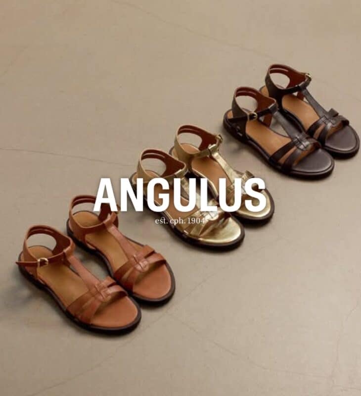 Angulus sko